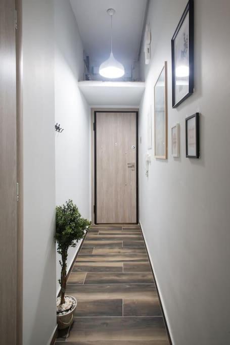 A Comfortable Small Studio Nearby Acropolis 5 Αθήνα Εξωτερικό φωτογραφία
